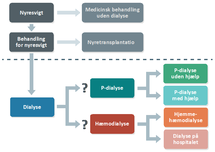 Oversigt behandling af nyresvigt